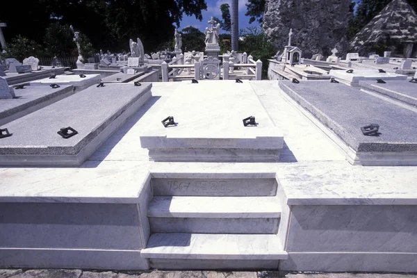 Tumba Ibrahim Ferrer Del Club Social Buena Vista Cementerio Necrópolis — Foto de Stock