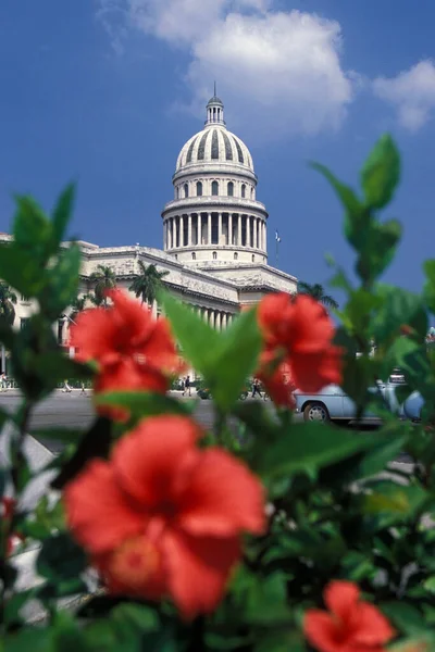 Capitolio Nazionale Nella Città Avana Cuba Nel Mare Dei Caraibi — Foto Stock