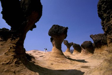 Yehliu 'daki Mercan Kayalıkları Okyanus Parkı, Doğu Aasya' daki Kuzey Tayvan kıyısındaki Keelung Kasabası 'nın kuzeydoğusu. Tayvan, Yehliu, Mayıs 2001