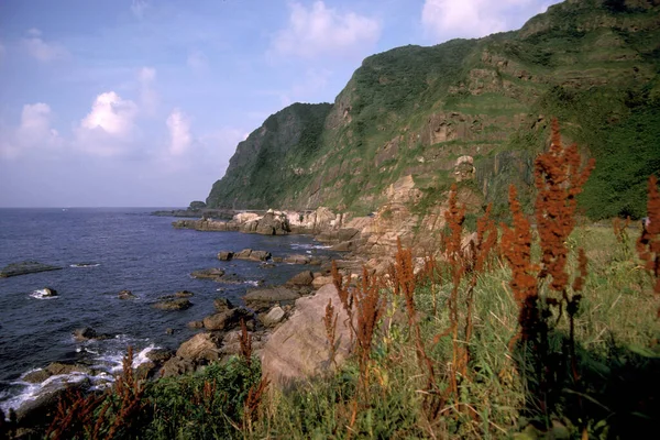 Coral Cliffs Ocean Park Yehliu Nordost Staden Keelung Kusten Norra — Stockfoto