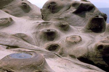 Yehliu 'daki Mercan Kayalıkları Okyanus Parkı, Doğu Aasya' daki Kuzey Tayvan kıyısındaki Keelung Kasabası 'nın kuzeydoğusu. Tayvan, Yehliu, Mayıs 2001