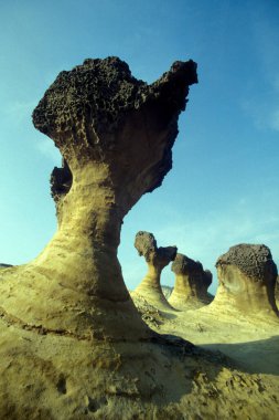 Yehliu 'daki Mercan Kayalıkları Okyanus Parkı, Doğu Aasya' daki Kuzey Tayvan kıyısındaki Keelung Kasabası 'nın kuzeydoğusu. Tayvan, Yehliu, Mayıs 2001