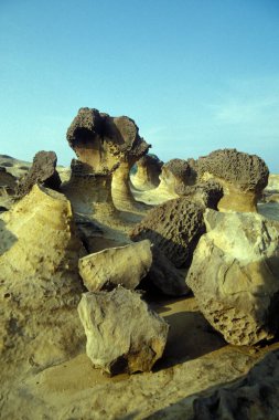 Yehliu 'daki Mercan Kayalıkları Okyanus Parkı, Doğu Aasya' daki Kuzey Tayvan kıyısındaki Keelung Kasabası 'nın kuzeydoğusu. Tayvan, Yehliu, Mayıs 2001