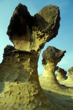 Yehliu 'daki Mercan Kayalıkları Okyanus Parkı, Doğu Aasya' daki Kuzey Tayvan kıyısındaki Keelung Kasabası 'nın kuzeydoğusu. Tayvan, Yehliu, Mayıs 2001
