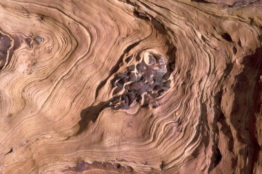 Yehliu 'daki Mercan Kayalıkları Okyanus Parkı, Doğu Aasya' daki Kuzey Tayvan kıyısındaki Keelung Kasabası 'nın kuzeydoğusu. Tayvan, Yehliu, Mayıs 2001