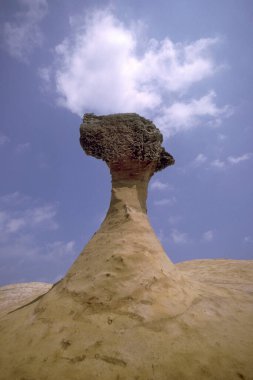 Yehliu 'daki Mercan Kayalıkları Okyanus Parkı, Doğu Aasya' daki Kuzey Tayvan kıyısındaki Keelung Kasabası 'nın kuzeydoğusu. Tayvan, Yehliu, Mayıs 2001