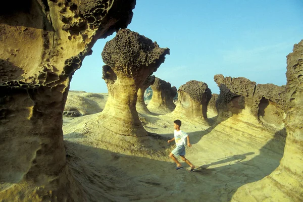 Coral Cliffs Ocean Park Yehliu Northeast Town Keelung Coast North — Foto de Stock