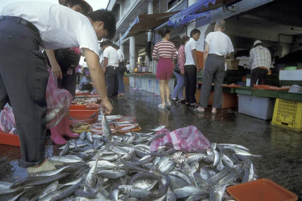 Mercado Peixe Porto Vila Piscatória Keelung Oceano Pacífico Norte Taiwan — Fotografia de Stock