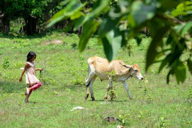 Asya Kamboçya siem riep tonle sap