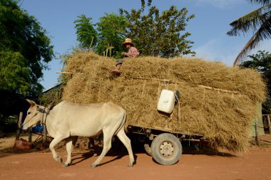Asya Kamboçya angkor thom