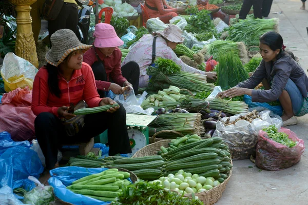 ASIA CAMBODIA SIEM RIEP — Stock Photo, Image