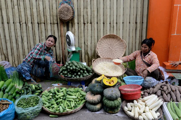 ASIA CAMBODIA SIEM RIEP — Stock Photo, Image