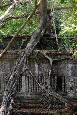 Asya Kamboçya angkor beng mealea