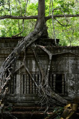 Asya Kamboçya angkor beng mealea