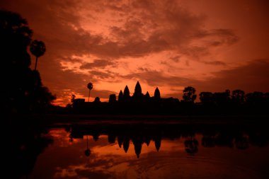 Asya Kamboçya angkor wat