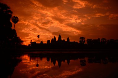 Asya Kamboçya angkor wat