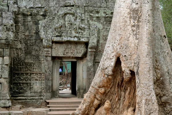 Ασία Καμπότζης angkor preah Χαν — Φωτογραφία Αρχείου
