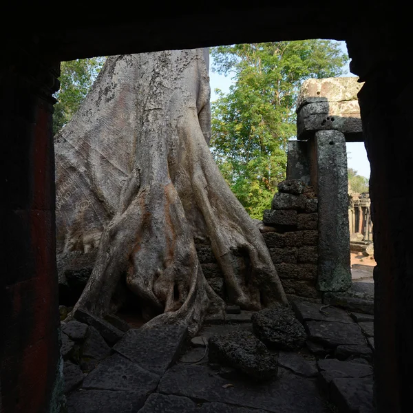 Asia Camboya angkor banteay kdei — Foto de Stock