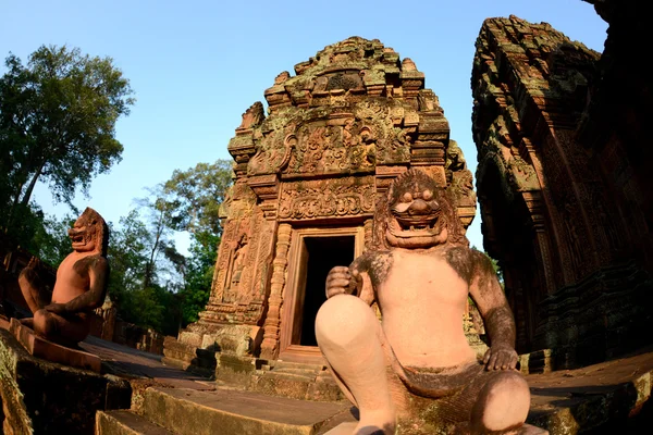 ASIA CAMBODIA ANGKOR BANTEAY SREI — Stock Photo, Image