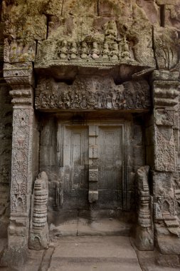 Asya Kamboçya angkor ta prohm