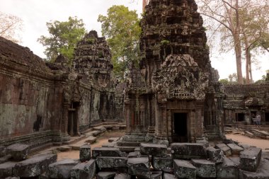 Asya Kamboçya angkor ta prohm