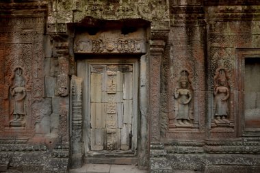 Asya Kamboçya angkor ta prohm