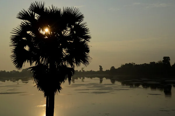 ASIA CAMBODIA ANGKOR EASTERN MEBON — Stok Foto