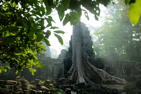 Asie Kambodže angkor banteay kdei — Stock fotografie