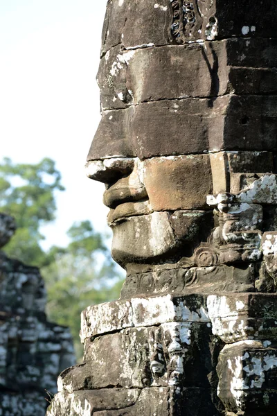 Asien Kambodja angkor angkor thom — Stockfoto