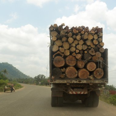 Asya Kamboçya siem riep tonle sap