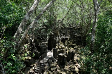 Asya Kamboçya angkor beng mealea