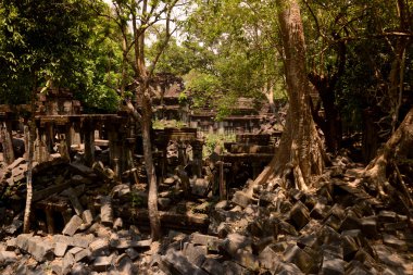 Asya Kamboçya angkor beng mealea