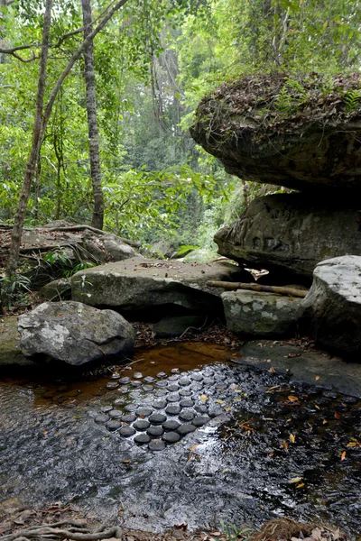 Asie Kambodže angkor kbal spean — Stock fotografie