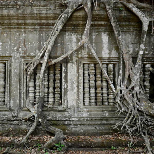 ASIA CAMBODIA ANGKOR BENG MEALEA — Stock Photo, Image