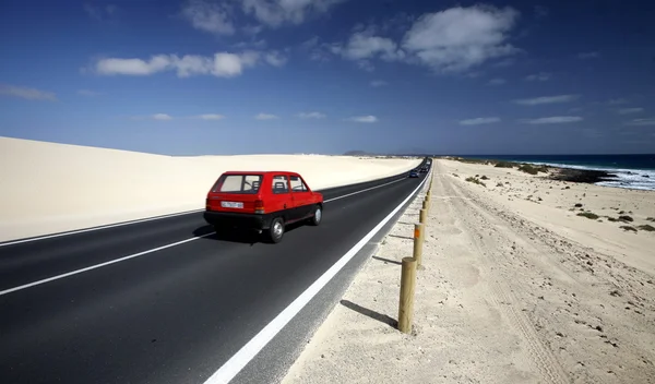 EUROPE KANARY ISLAND FUERTEVEVENTURA – stockfoto