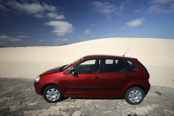 EUROPE CANARY ISLANDS FUERTEVENTURA — Stock Photo, Image