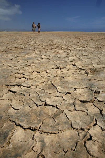 EUROPE CANARY ISLANDS FUERTEVENTURA — Stock Photo, Image