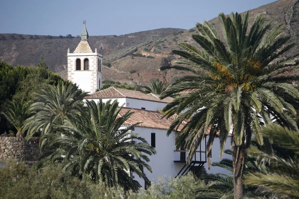 Avrupa Kanarya Adaları fuerteventura — Stok fotoğraf