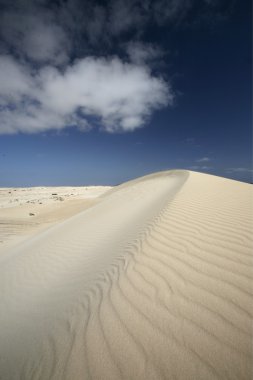 Avrupa Kanarya Adaları fuerteventura