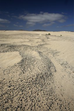 Avrupa Kanarya Adaları fuerteventura