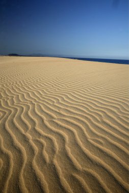 Avrupa Kanarya Adaları fuerteventura