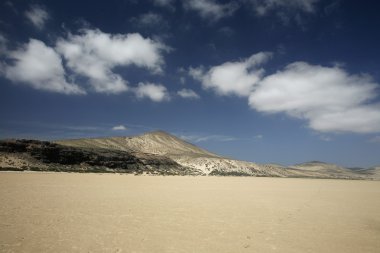 Avrupa Kanarya Adaları fuerteventura