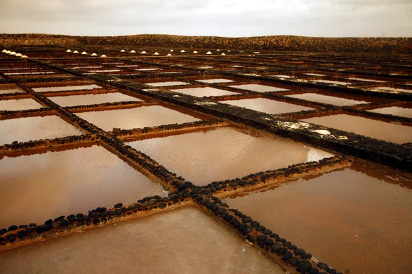 Avrupa Kanarya Adaları fuerteventura — Stok fotoğraf