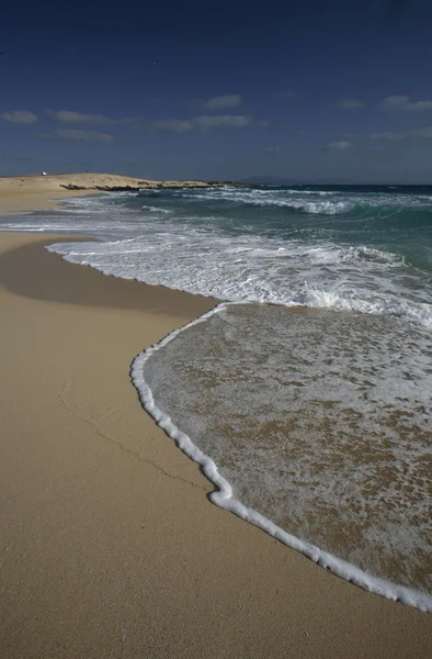 EUROPE ÎLES CANaries FUERTEVENTURA — Photo