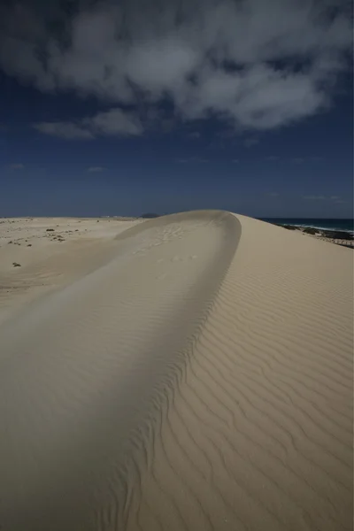 Evropa Kanárské ostrovy fuerteventura — Stock fotografie
