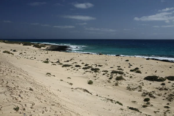 ISOLE CANARIE DELL'EUROPA FUERTEVENTURA — Foto Stock