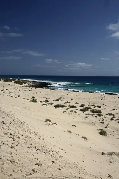 ILHAS CANÁRIAS DA EUROPA FUERTEVENTURA — Fotografia de Stock