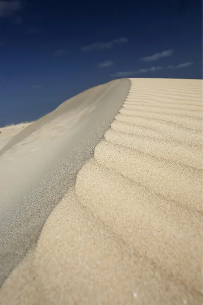 Europa Kanarieöarna fuerteventura — Stockfoto