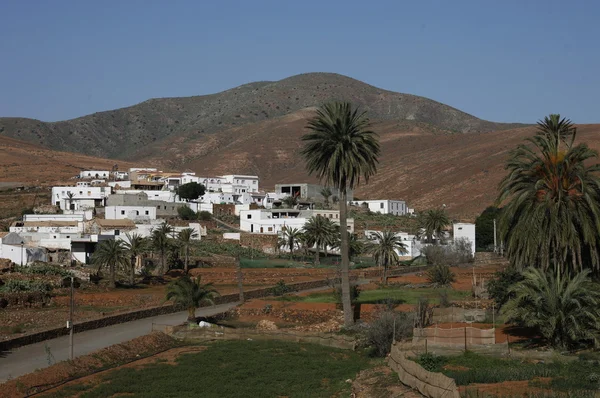 Evropa Kanárské ostrovy fuerteventura — Stock fotografie