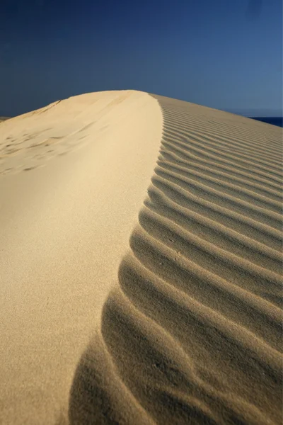 Evropa Kanárské ostrovy fuerteventura — Stock fotografie